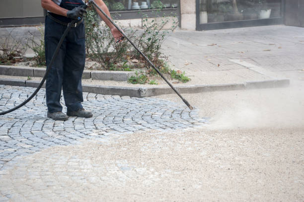Best Driveway Pressure Washing  in Dahlgren, VA