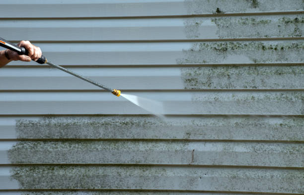 Best Driveway Pressure Washing  in Dahlgren, VA